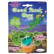 Good Luck Egg Terrarium Kit